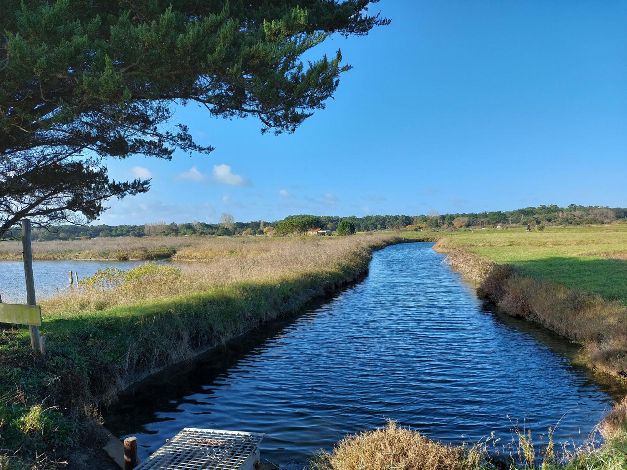 Studio La Salicorne Au Sables D'Olonne Ле-Сабль-д’Олон Экстерьер фото