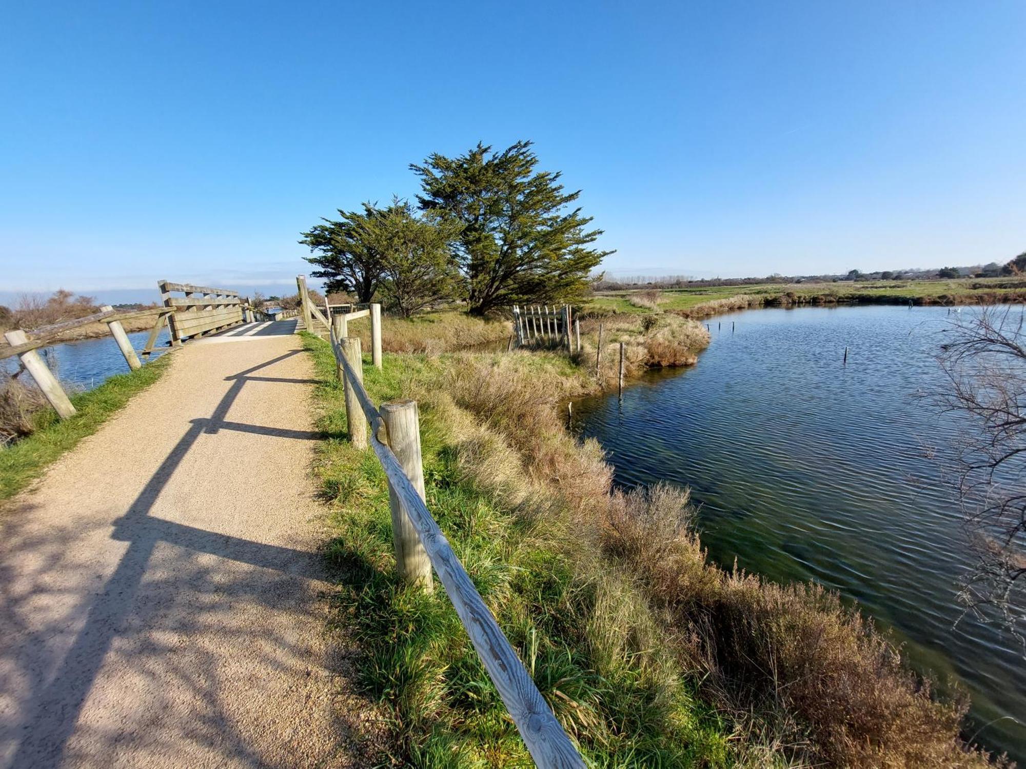Studio La Salicorne Au Sables D'Olonne Ле-Сабль-д’Олон Экстерьер фото