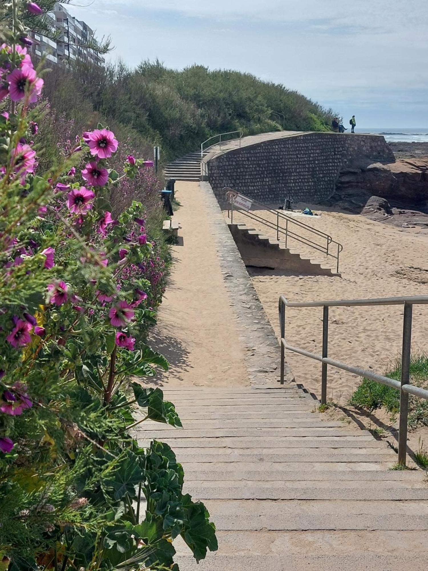 Studio La Salicorne Au Sables D'Olonne Ле-Сабль-д’Олон Экстерьер фото