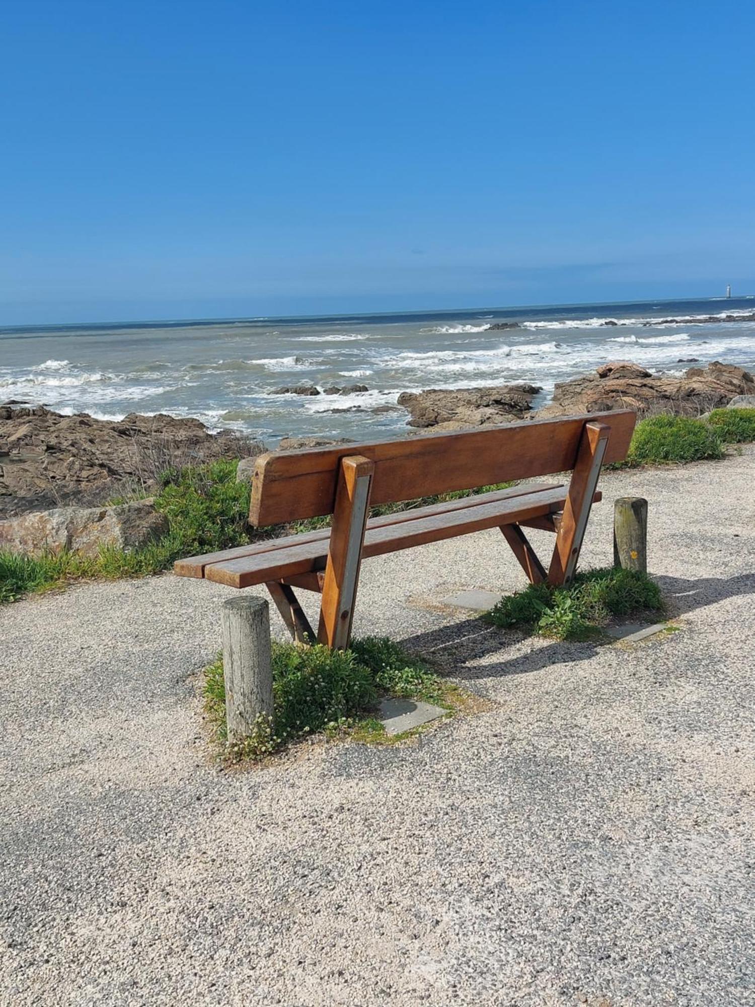 Studio La Salicorne Au Sables D'Olonne Ле-Сабль-д’Олон Экстерьер фото
